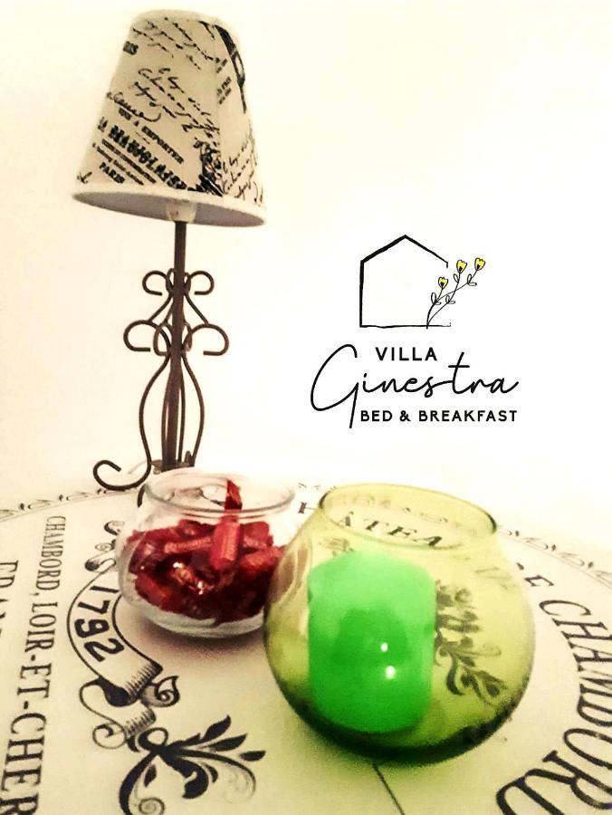 B&B Villa Ginestra 佩斯卡拉 外观 照片
